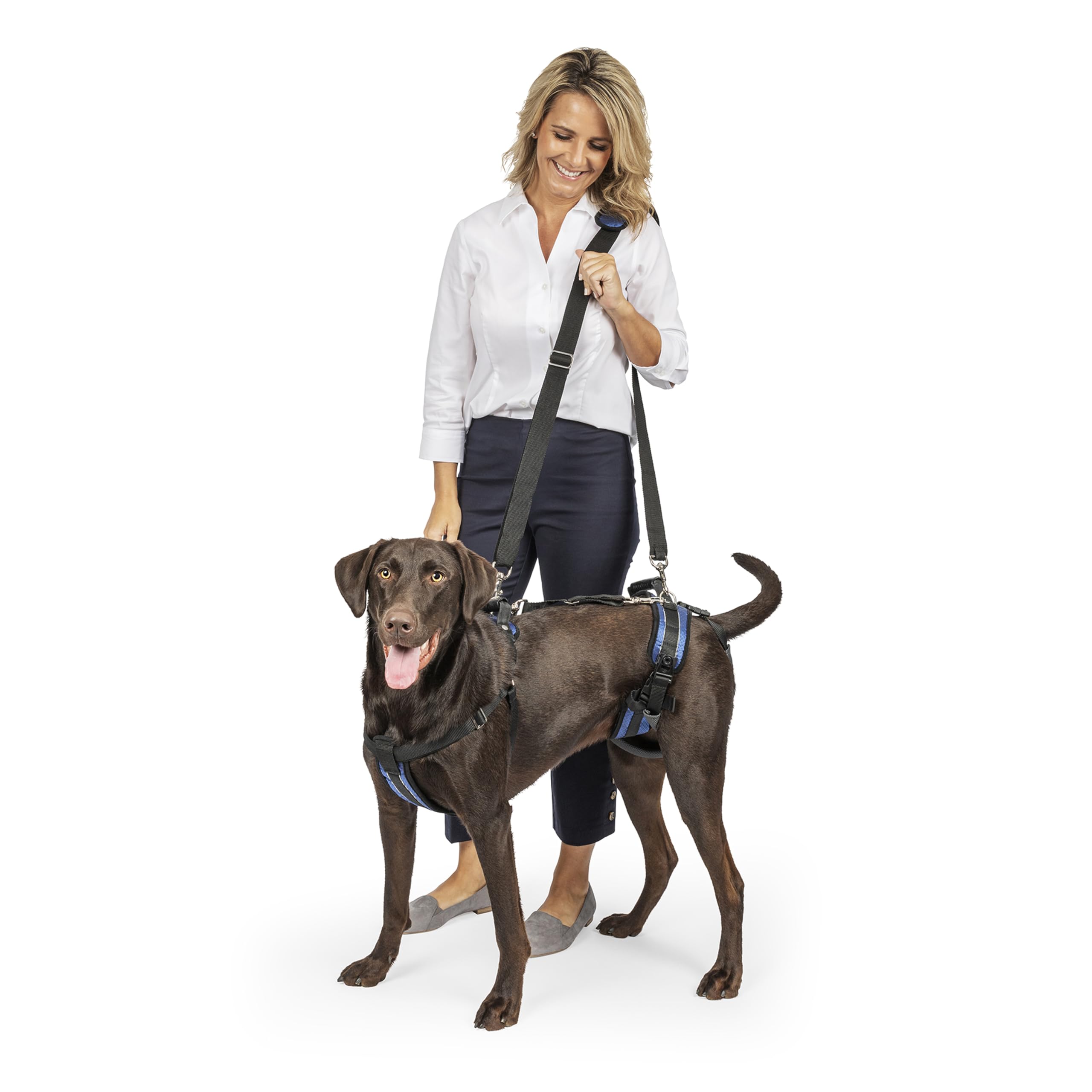 PetSafe CareLift Hebegeschirr für Hunde, Ganzkörperhebehilfe mit Griff und Schultergurt, Brust- und Hüfthebung, Größe L