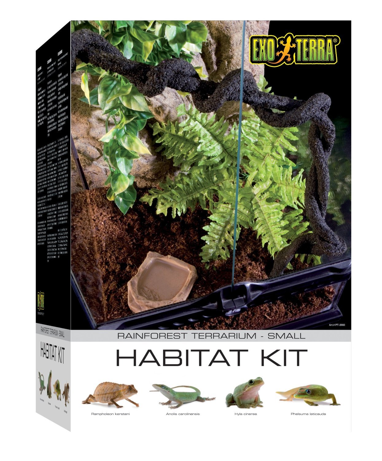 Exo Terra Rainforest Habitat Kit, Terrarien Starter Set Regenwald, inkl. Abdeckung, Thermometer, 3 künstlichen Pflanzen, Bodengrund, Wassernapf, 1 Liane, 30 x 30 x 45cm