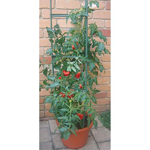 Benelando® Tomatenkäfig Rankhilfe Tomaten Rankstab Rankgitter Rankkorb (5)