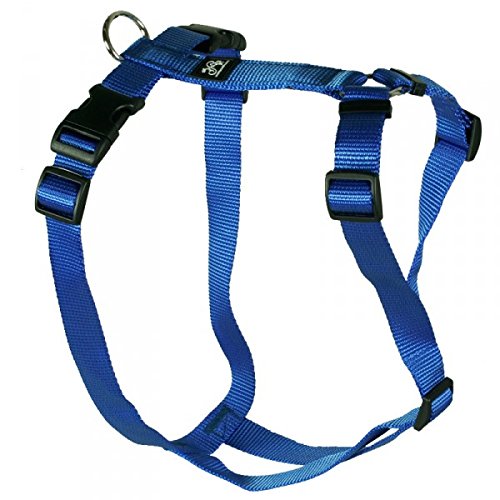 Hundegeschirr - Nylonband, Unifarben Blau, Bauchumfang 60-80 cm, 25 mm Bandbreite