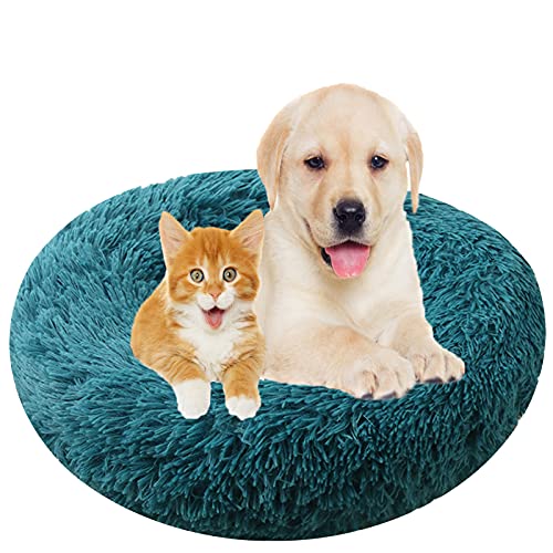 Hundebett, Rund Plüsch Haustierbett Flauschig Waschbares Katzenbett mit Reißverschluss Warme Donut Hundekissen für Haustiere- Cyan|| Ø 120cm/48in