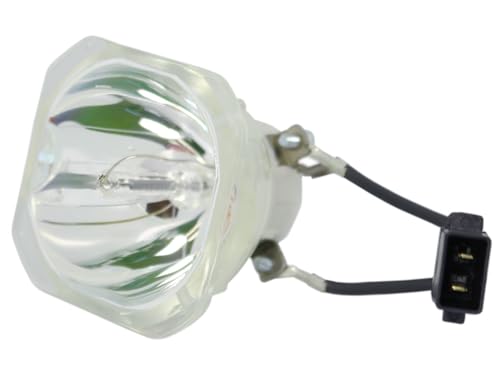 azurano Beamerlampe für EPSON ELPLP85, V13H010L85 Ersatzlampe Projektorlampe