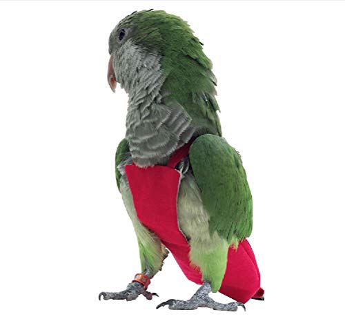 HEZHUO Papageien-Windel-Vogel-Fluganzug, Vogelkleidung, wasserdichtes Futter, Haustier-Vogelzubehör (L, Rot)