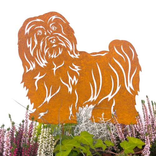 Terma Stahldesign Gartenstecker Edelrost Hund Havaneser Handmade Germany, Höhe 30cm tolle gartendeko aus Rost-Metall, deko rostoptik, Rostfiguren Tiere,
