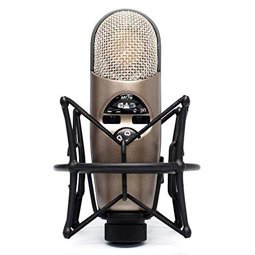 CAD Audio M179 Doppelmembran-Multimode-Kondensatormikrofon für professionelle Aufnahmen von Gesang und Instrumenten (XLR, 24-52V Phantomspeisung)