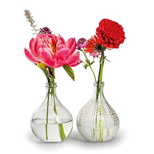 6 x Vasen Alwin aus Glas im Vintage-Look H 15 cm - Glasvasen - Tischvasen - Blumenvasen - Dekoflaschen - Glasflaschen für Blumen