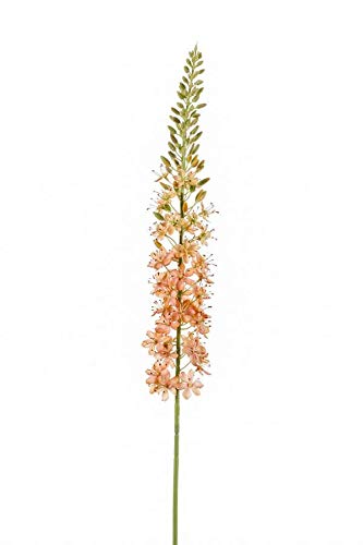 artplants.de Steppenkerzen künstlich AOMORI, Creme-rosa, 105cm, Ø9cm - Wüstenschweif Kunstzweig