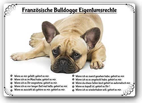 Blechschild / Warnschild / Türschild - Aluminium - 30x20cm "Eigentumsrechte" Motiv: Französische Bulldogge (10)
