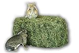 Heu 15kg Heu-Scheune® 1.Schnitt Heuballen Futter Kaninchen Meerschweinchen Hase
