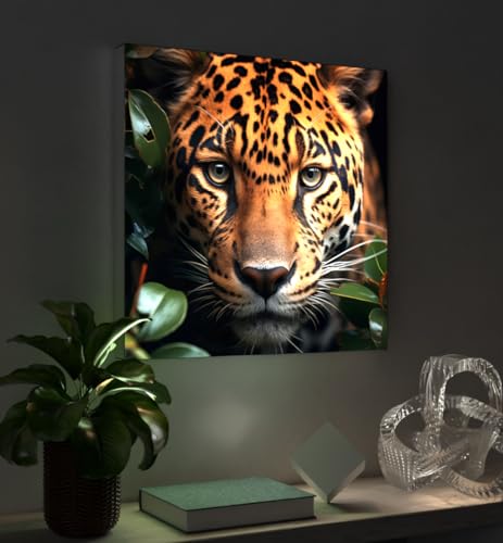 MyMaxxi - Pixlip Poster Jaguarporträt Wandbild Design Wand Dekoration, Foto Mehrfarbig Leuchtrahmen - Jaguar, 60x60 cm, Rahmen: Leuchtrahmen inkl. Druck