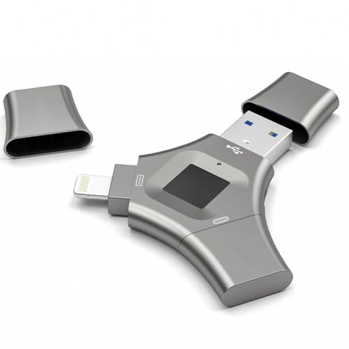 W-Lynn 3-in-1-U-Disk mit Fingerabdruckverschlüsselung für Mobiltelefone und Computer mit doppeltem Verwendungszweck und großer Kapazität,256GB