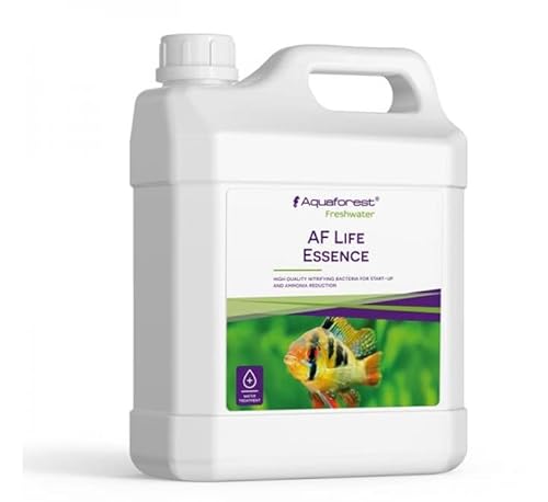Aquaforest - Freshwater Life Essence 2 l - bakterieller Aktivator