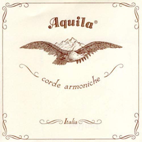 Aquila AQ C 10S 109C Classic Guitar Set (10-String)