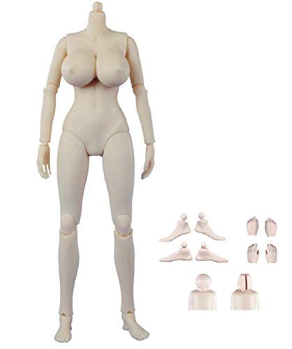 ausuky Flexibles weibliches Körpermodell im Maßstab 1/6, große Brust für 30,5 cm große Action-Spielfigur