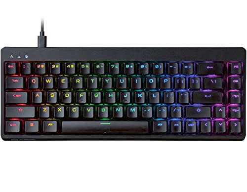 ELECOM Gaming V Custom VK300 Mini 65% RGB Gaming-Tastatur, Hintergrundbeleuchtung, kabelgebundene mechanische Tastatur, abnehmbares geflochtenes Kabel, Doubleshot Tastenkappen (TK-VK300SBK)