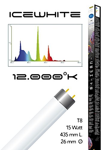 Haquoss Icewhite Lampe 15 Watt/435 mm, T8