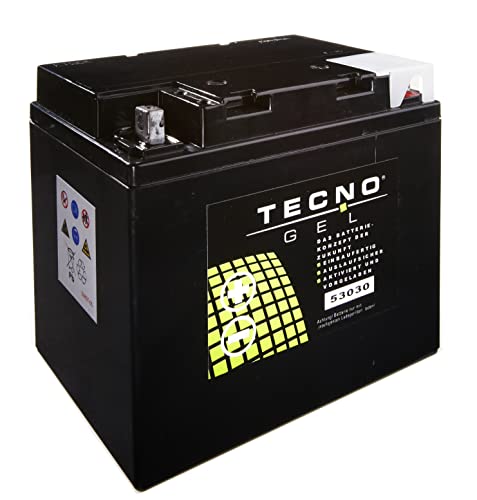 TECNO-GEL Motorrad Qualitäts Batterie 53030 für MOTO GUZZI Nevada 750, Club 1989-2004, 12V Gel-Batterie 30Ah, 187x130x170 mm inkl. Pfand