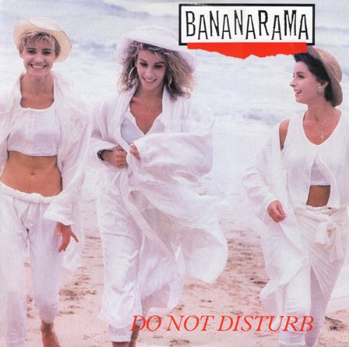 Do not disturb (1985) [Vinyl Single]