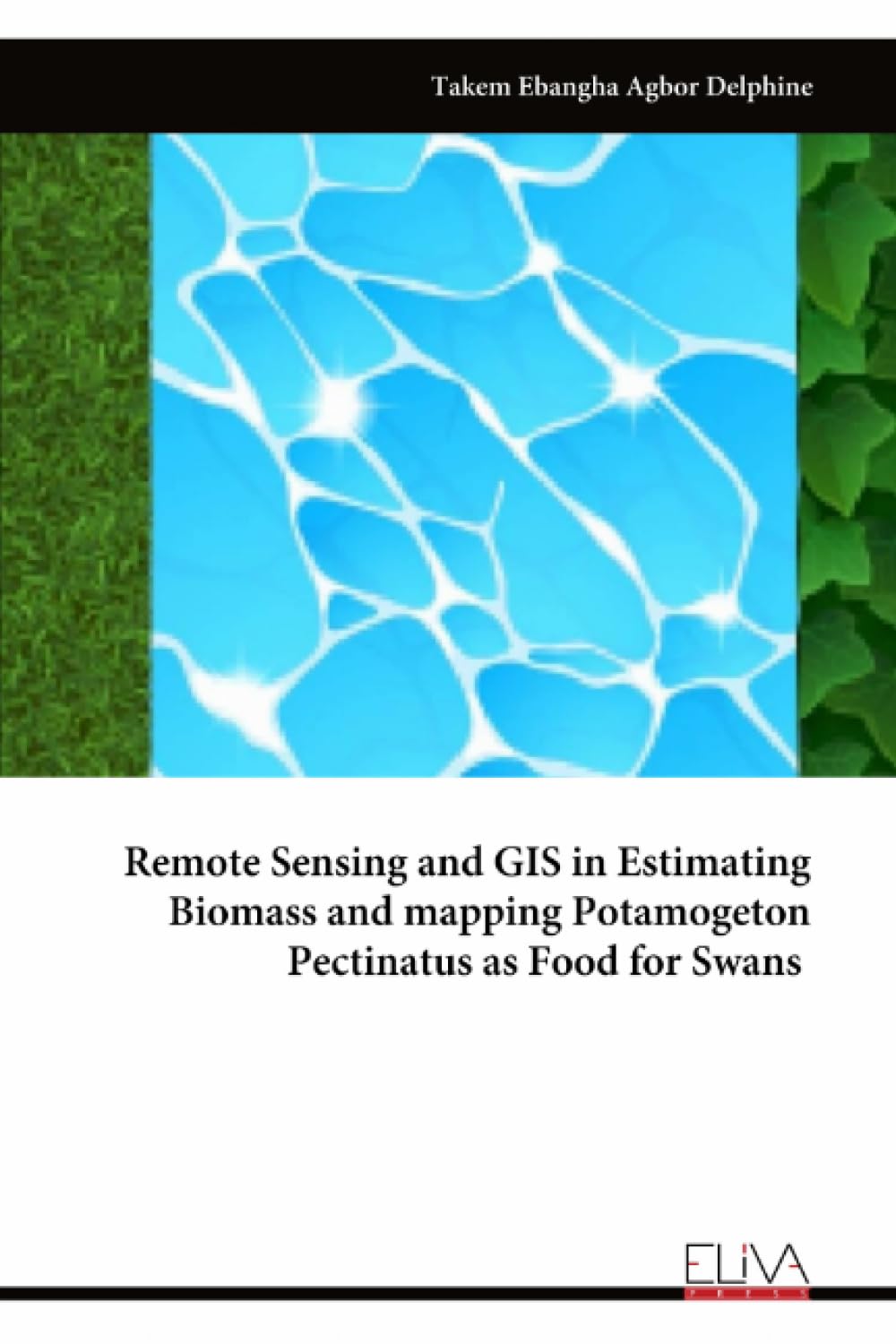 Remote Sensing and GIS in Estimating Biomass and mapping Potamogeton Pectinatus as Food for Swans