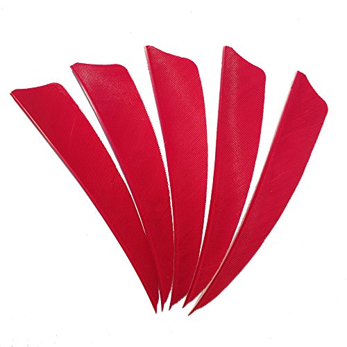 SHARROW 100 Stück Bogenschießen Pfeilfedern Naturfedern für Pfeile 4 Zoll Shield Cut Fletches Fletching Vanes (Rot)