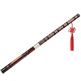 Bambus Flöte Chinesisches Bambus Flöten Blas Instrument Kit Spiel Flöten Kit Traditionelles Flöten Instrument