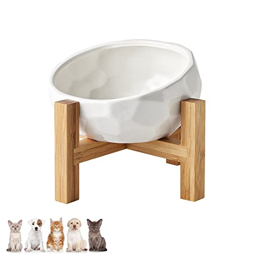 Koomiao Napf für Katzen und Hunde,Futternapf Katze mit Halter,15° Neigung Katzennapf für die meisten Katzen und kleine Hunde (Weiß)