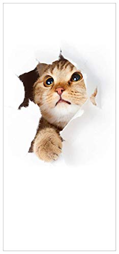 posterdepot ktt0155 Türtapete Türposter Katze mit Blick nach Oben-Größe 93 x 205 cm