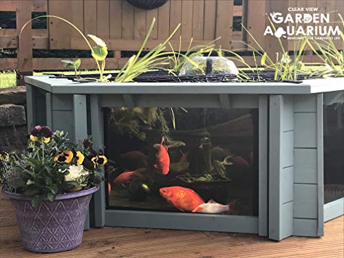 Garten-Aquarium Lily, klare Sichtfenster, mit Springbrunnen/UV-Filter, Gartenteich mit hohen Seitenwänden, Set - Seagrass Green