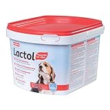 beaphar Lactol Aufzucht-Milch Für Hunde, 1er Pack (1 x 1 kg)