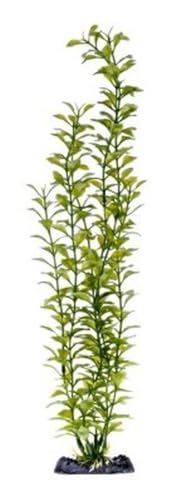 Penn-Plax PP05560 Blooming Ludwigia Green Super