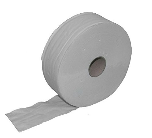Jumbo-Toilettenpapier-Verpackungseinheit 6 Rollen - 350m-2 lagig - Recycling-weiß