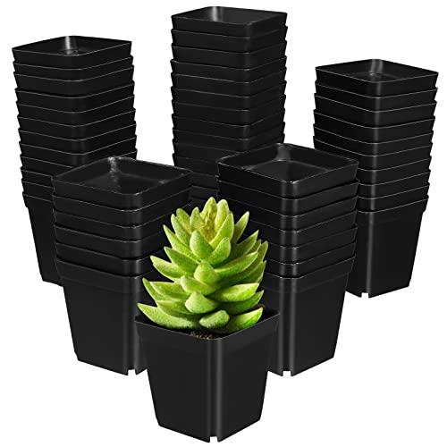 Yardwe 50 STÜCKE Platz sämlinge töpfe Kunststoff pflanzentopf für Garten gewächshaus 6x6x6,5 cm (schwarz)