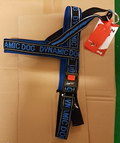Hundegeschirr Dynamic blau 80 cm