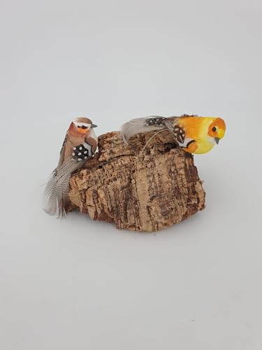 Vogelsitzbrett 3 Stück Natur Kork 15x 10 cm für Wellensittiche Kanarienvögel Papageien mit Befestigungsschraube