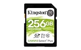 Kingston Canvas Select Plus SD — SDS2/32 GB Klasse 10 Uhs-I, 256 GB
