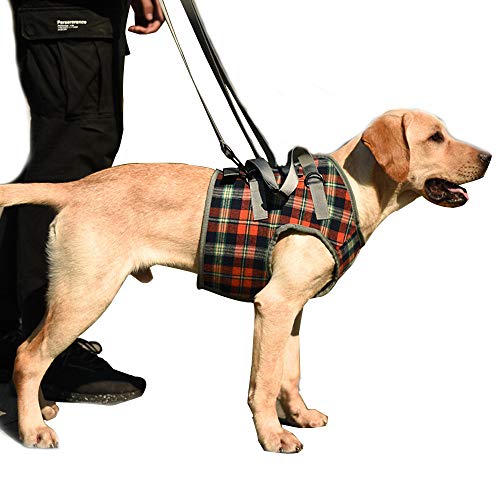 Haustier-Hunde-Lift-Unterstützung, verstellbar, Hilfsgurt für Behinderungen, Verletzungen, für mittelgroße und große Hunde (S, Orange)