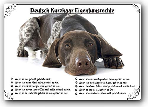 Merchandise for Fans Blechschild/Warnschild/Türschild - Aluminium - 30x40cm Eigentumsrechte Motiv: Deutsch Kurzhaar (01)