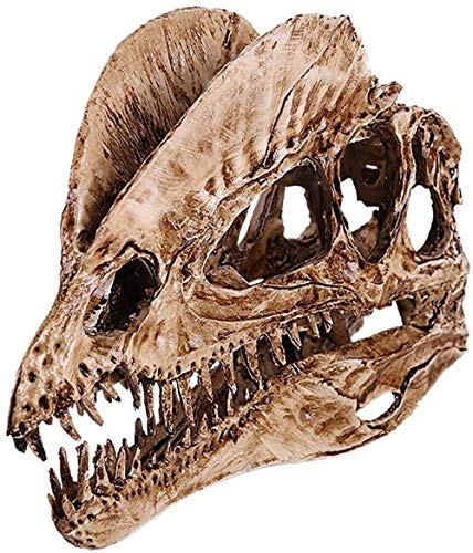 Dinosaurier-Skelett-Modell für Aquarien, Modell Dilophosaurus, 18 cm