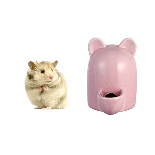 balacoo Hamster Wasserflasche Meerschweinchen Trinknapf Feeder Flasche Keramik Stille Automatische Tränke für Kleine Haustiere Vogeligel Chinchilla Frettchen - 100Ml