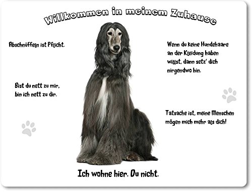 Merchandise for Fans Blechschild/Warnschild/Türschild - Aluminium - 30x40cm - - Willkommen in Meinem Zuhause - Motiv: Afghane/Windhund sitzend - 01