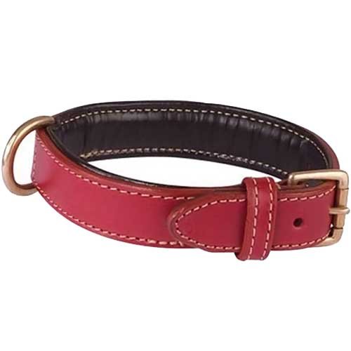Bobby Classique Haute Finition Collar, Size 65, Red