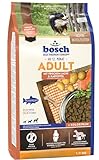 Bosch Adult Lachs & Kartoffel 15 kg