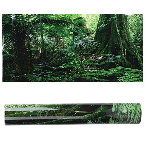 Aquarium-Hintergrund, 3D-Regenwald-Hintergrund, PVC-Kleber, Unterwasserwelt, Aquarium, Dekoration, Poster, Tapete, Landschaftsaufkleber