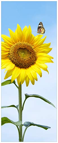Wallario Glasbild Sonnenblume mit Schmetterling - 32 x 80 cm in Premium-Qualität: Brillante Farben, freischwebende Optik