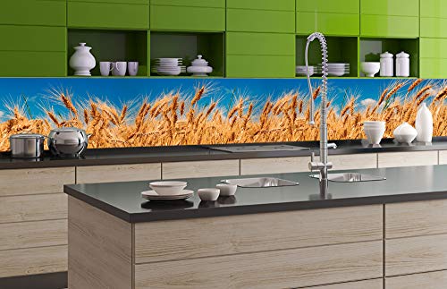 DIMEX LINE Küchenrückwand Folie selbstklebend WEIZENFELD | Klebefolie - Dekofolie - Spritzschutz für Küche | Premium QUALITÄT - Made in EU | 350 cm x 60 cm
