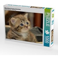 Süßes Britisch Kurzhaar Katzenbaby 1000 Teile Puzzle quer [4056502282372]