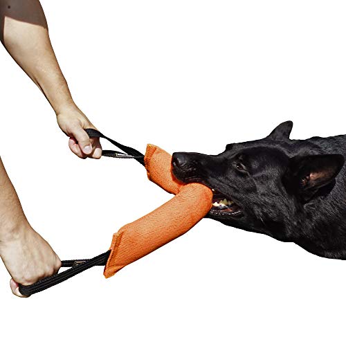 Dingo Gear Baumwolle-Nylon Beißwurst für Hundetraining K9 IGP IPO Obiedence Schutzhund Hundesport, mit Zwei Griffen 8 x 45 cm Orange S00085