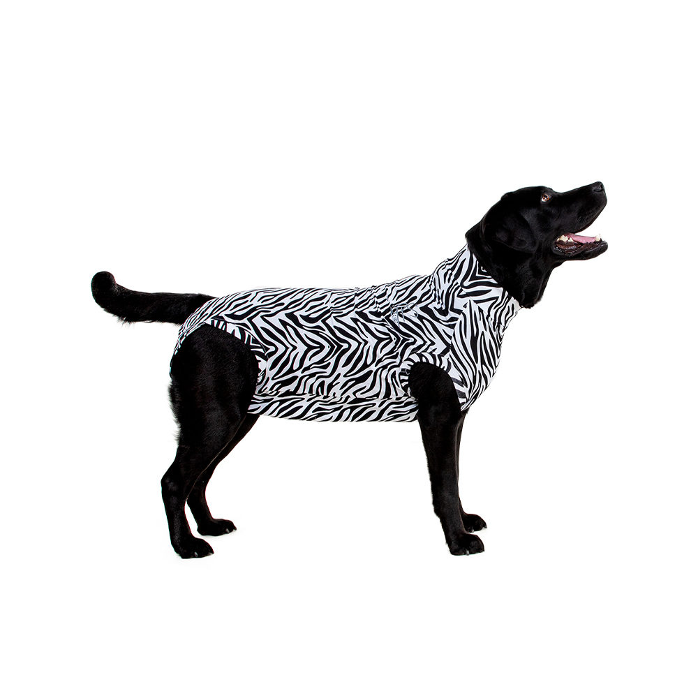 Medical Pet Shirt Hund Zebra-Muster - M Plus