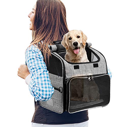 YOUTHINK Hunderucksackträger, Pet Carrier Bag mit Mesh für kleine Hunde Katzen Welpen, Comfort Cat Rucksack Tasche Airline genehmigt für Wandern Reisen Camping im Freien