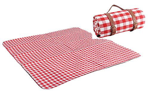 ISOLAY Picknickmatte, wasserdicht und dick, tragbare Bodenmatte, feuchtigkeitsbeständig, verschleißfest, faltbar, geeignet für draußen und so weiter (rot, 150 x 200 cm)